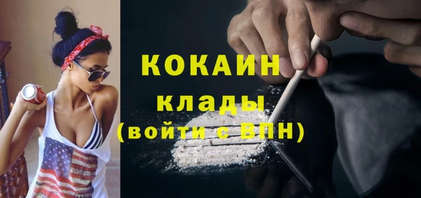спиды Ельня