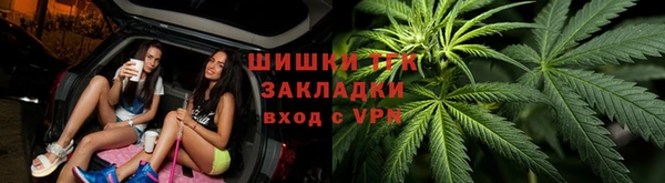 спиды Ельня