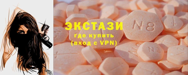 спиды Ельня
