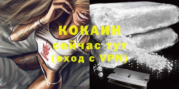 спиды Ельня