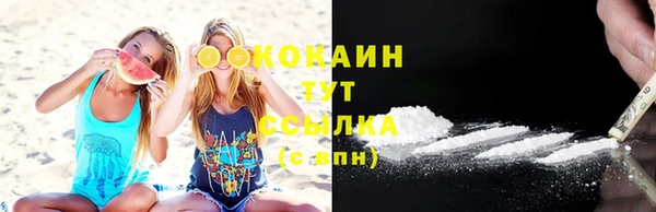 спиды Ельня