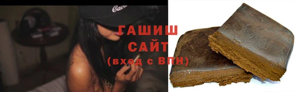 спиды Ельня