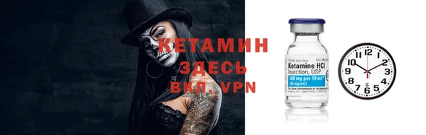 спиды Ельня