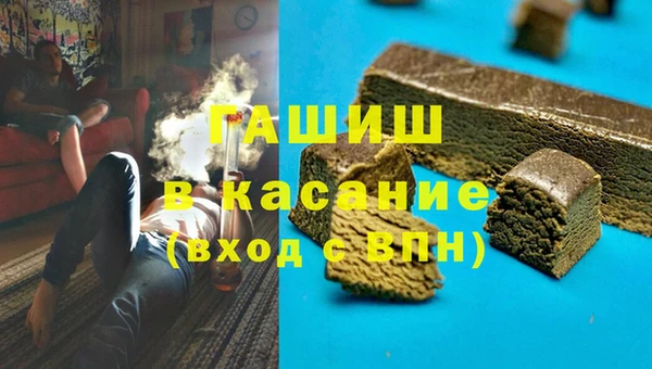 спиды Ельня