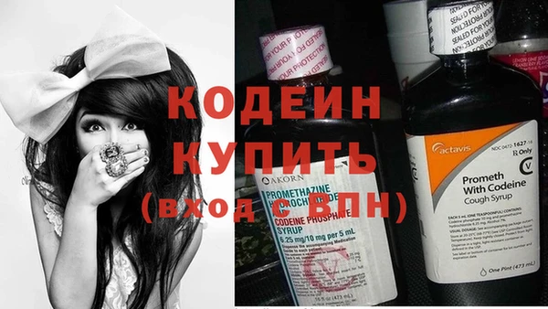 спиды Ельня