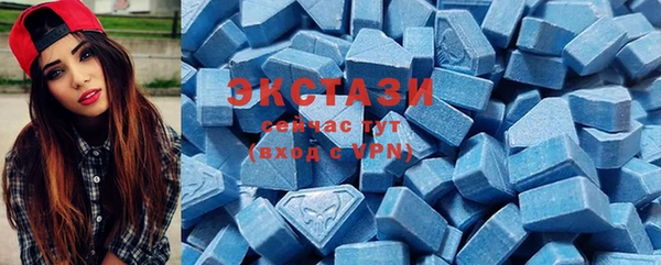 спиды Ельня