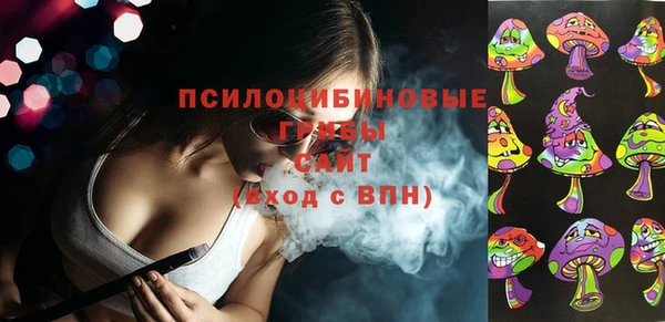 спиды Ельня