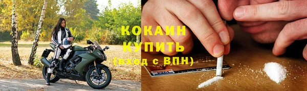 спиды Ельня