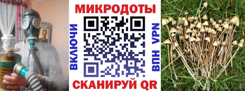 Купить  Красноперекопск  Псилоцибиновые грибы Psilocybine cubensis 